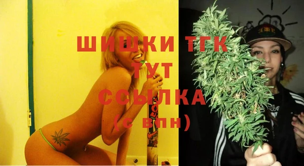 mix Надым