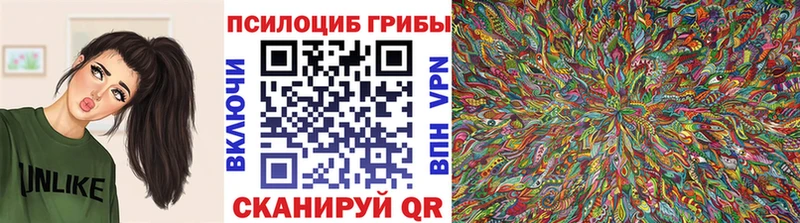 Псилоцибиновые грибы Magic Shrooms  blacksprut сайт  Енисейск 